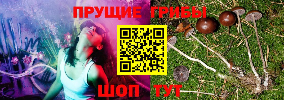Псилоцибиновые грибы мухоморы Хасавюрт