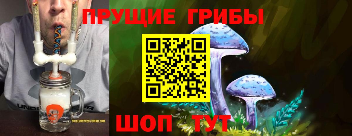 Псилоцибиновые грибы GOLDEN TEACHER  Вход с VPN  Галлюциногенные грибы мицелий  Хасавюрт 