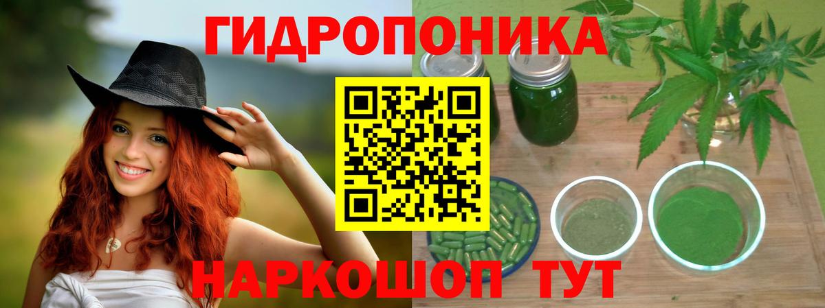 Конопля марихуана  Бошки Шишки планчик  Марихуана гибрид  Конопля Bruce Banner  Вход с VPN  Хасавюрт 